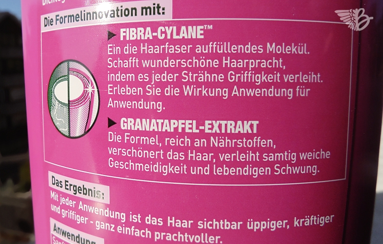 Garnier Fructis Prachtauffüller