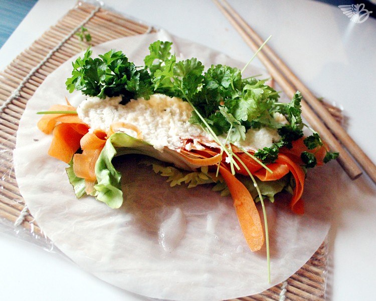 schwushi-sushi-sommerrollen-zutaten-vegetarisch