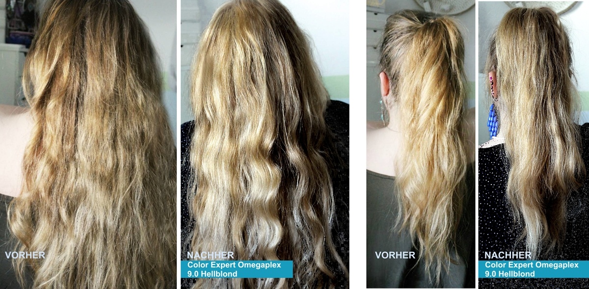 Expert erfahrung color dunkelblond Color B4