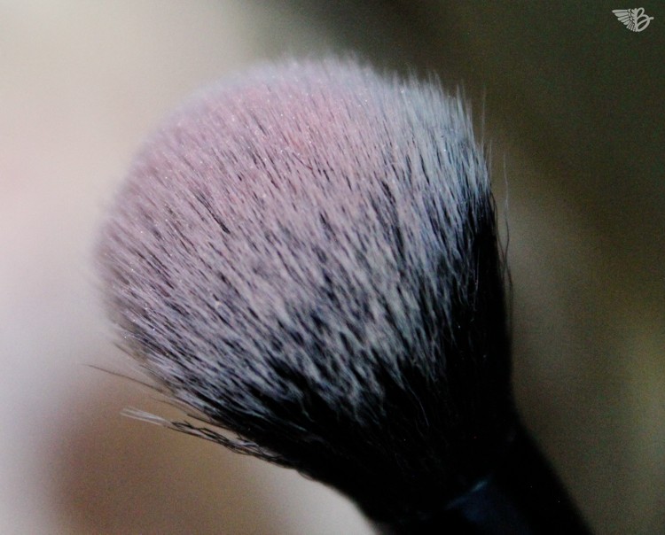 rouge blush brush