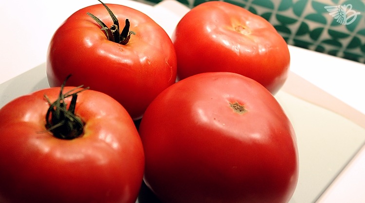 ungegrillte-Tomaten