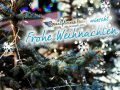 christmas - frohe feiertage