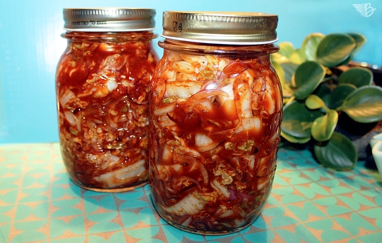 kimchi rezept