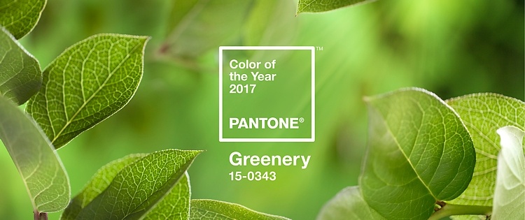 Trendfarbe 2017 Pantone greenery