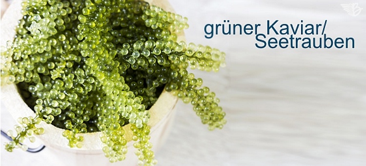 grüner kaviar
