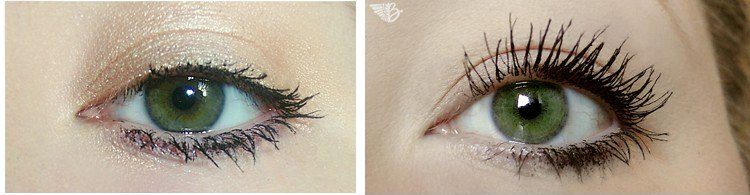 wimpernvergleich